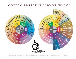 SCAA_Poster_Coffee_Tasters_Flavor_Wheel